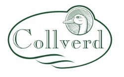 COLLVERD